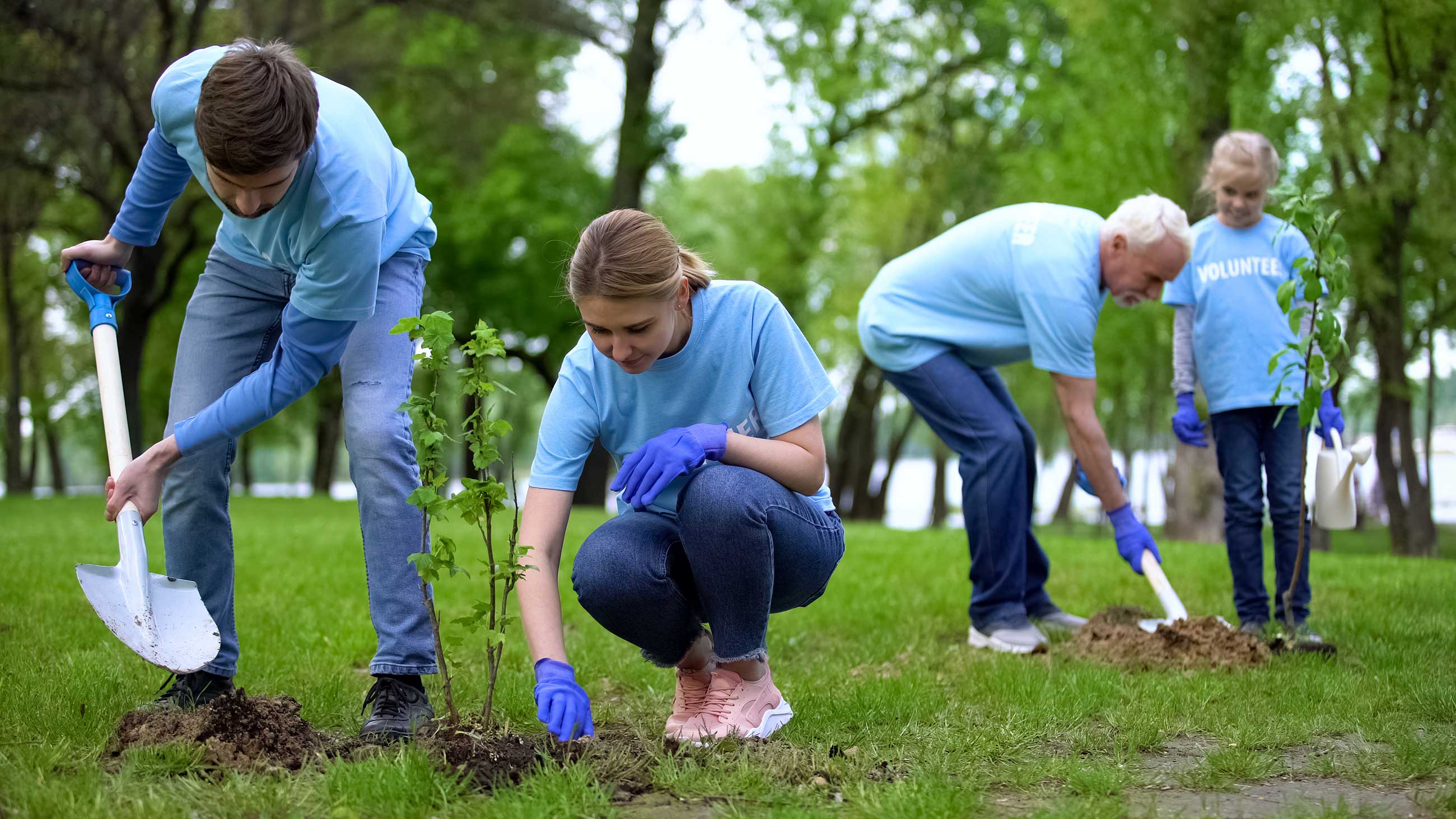 Volunteers planting trees